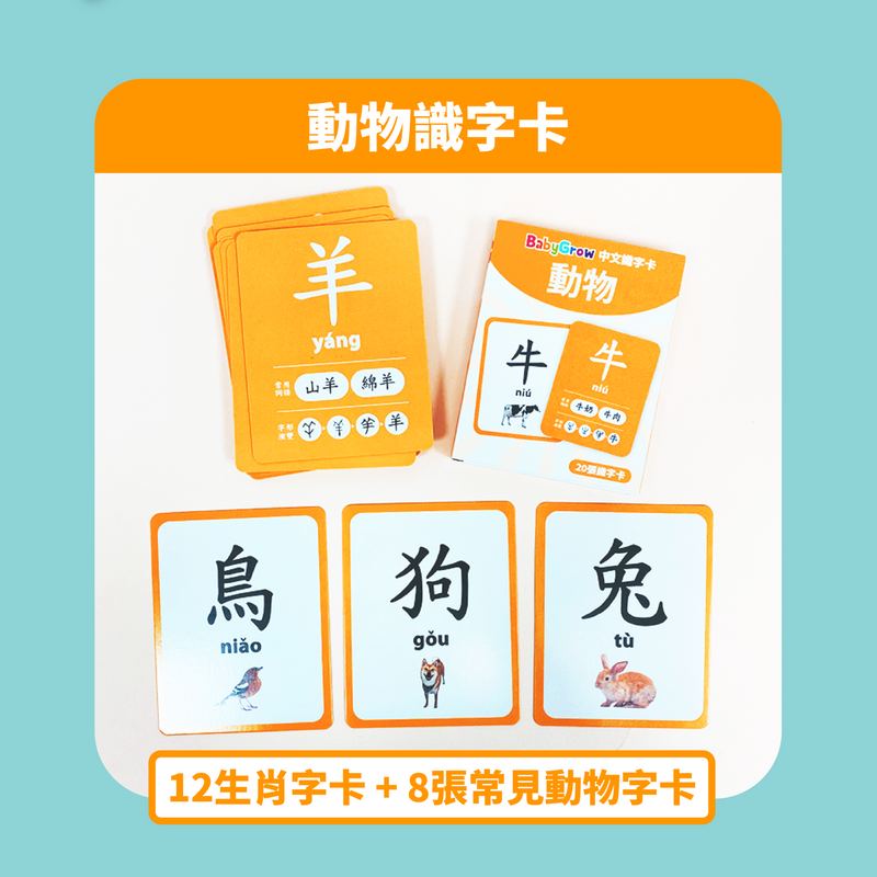 【公價貨品】中文識字卡 (1套5盒學80個字)