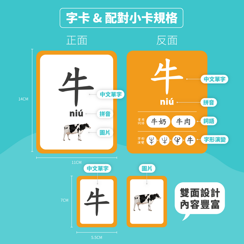 【公價貨品】中文識字卡 (1套5盒學80個字)