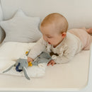 FEHN NATUR STAR 有機棉安撫巾