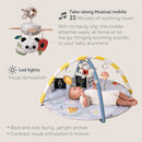 TAF TOYS FANTASY 音樂遊玩地墊