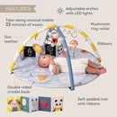 TAF TOYS FANTASY 音樂遊玩地墊