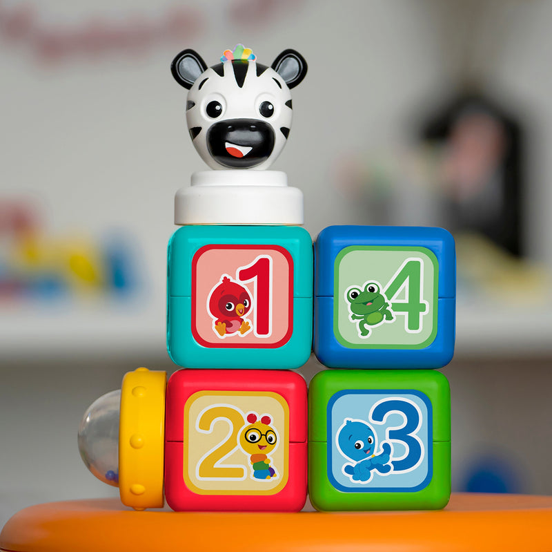 BABY EINSTEIN ADD & STACK 磁鐵活動玩具6件裝