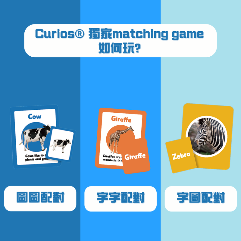 CURIOS 英文動物配對卡