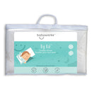 【網店獨家】BABY WORKS 嬰兒支撐枕+兒童枕+孕婦哺乳枕