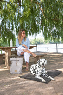 PALOPA 外出用狗狗坐墊 (炭灰色) S Size