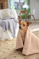 PALOPA 狗狗毛毯  (楓木色) M Size