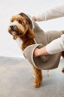 PALOPA 狗狗毛巾 (灰褐色) S size