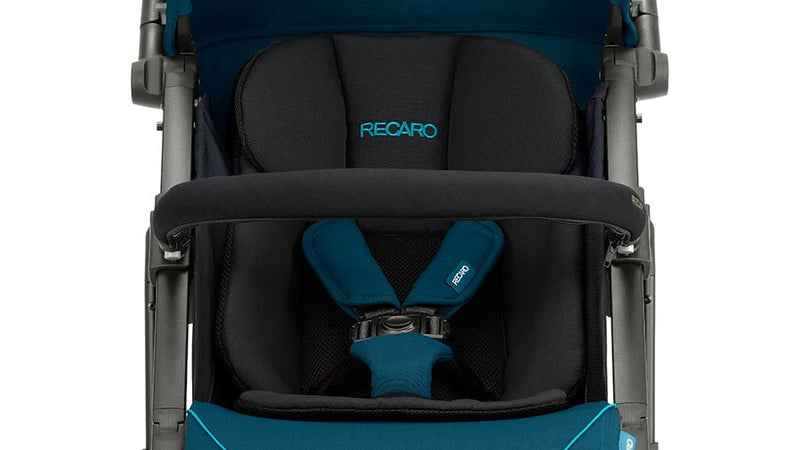 RECARO EASYLIFE ELITE 2-SELECT 手推車