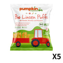 【5件裝】PUMPKIN 有機脆脆條