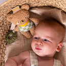 TAF TOYS 小熊多功能玩偶