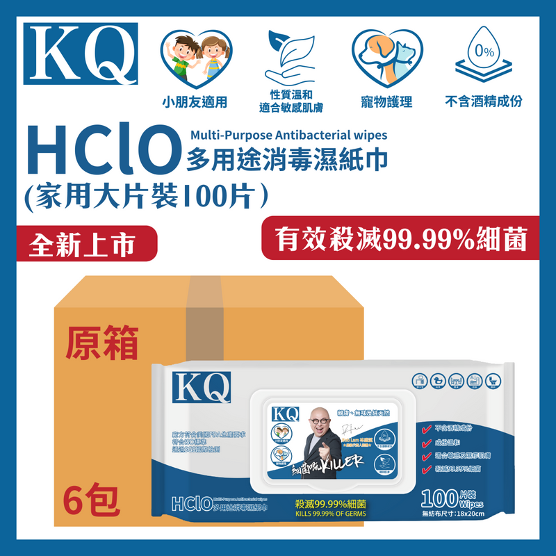【公價貨品】【6包裝】HClO家用大片裝多用途消毒濕紙巾