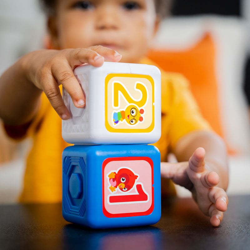 BABY EINSTEIN DIVE & SOAR 磁鐵活動玩具11件裝